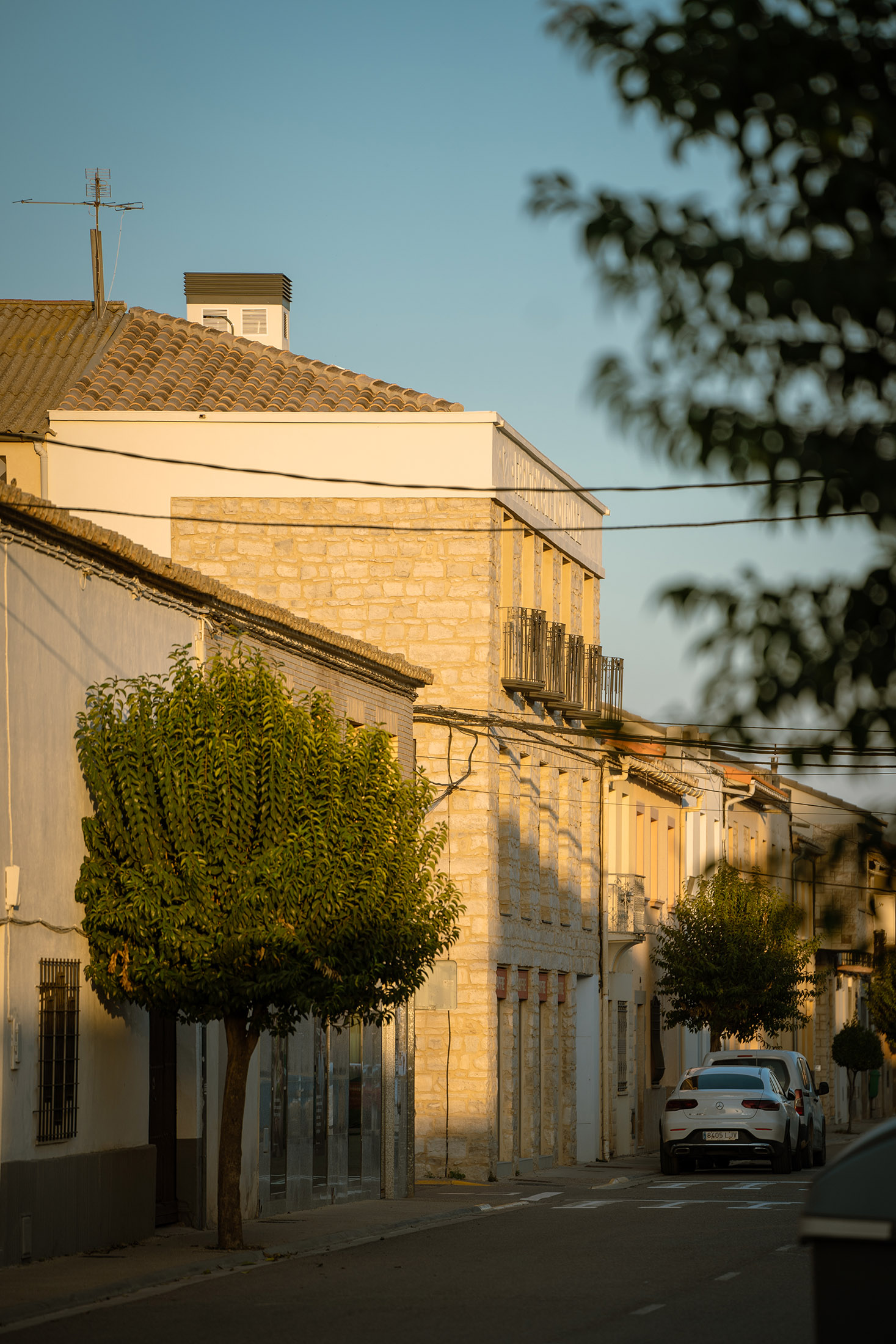 Vista de la fachada lateral del edificio de piedra con un árbol en la acera